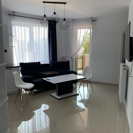 Cozy Apartment In The Center Of Cluj Napoca Bagian luar foto